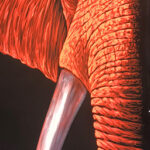 om oss banner 4