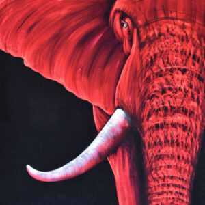 Elefant i halvporträtt